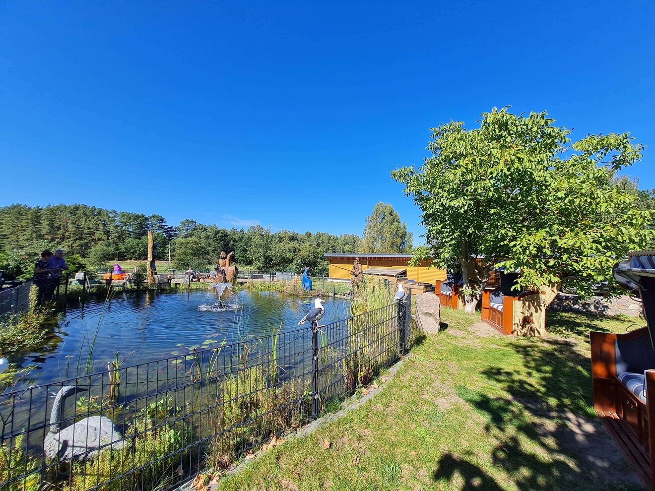 Spargelessen "satt" am Zechliner See